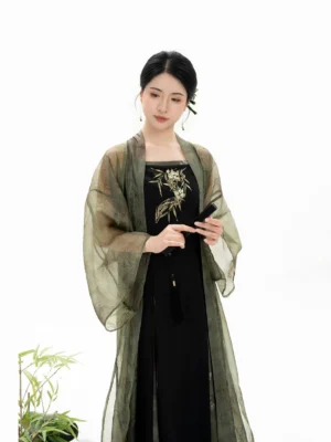 Bamboo Shadow Song Dynasty Hanfu full set front view with olive green sheer beizi and black embroidered slip dress