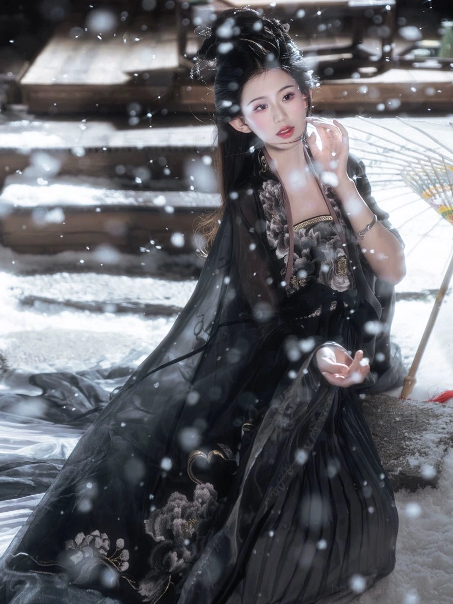 Black Peony Tang Dynasty Heziqun Hanfu complete set shown seated on snowy stone steps, with embroidered floral skirt and translucent black wide-sleeved outer robe