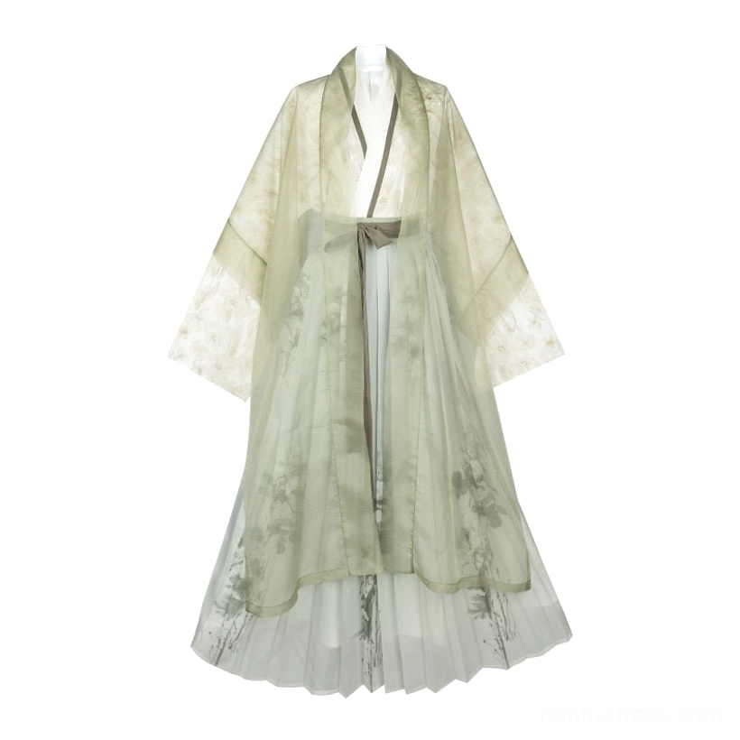 Complete Song Dynasty modern Hanfu set displayed from the front with printed sheer Beizi robe, off-white top, and pleated skirt