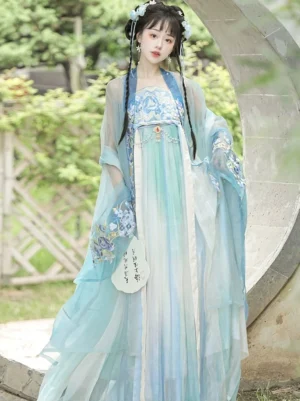 Blue Tang Dynasty style heziqun Hanfu dress with blue floral embroidery and translucent wide-sleeved outer robe
