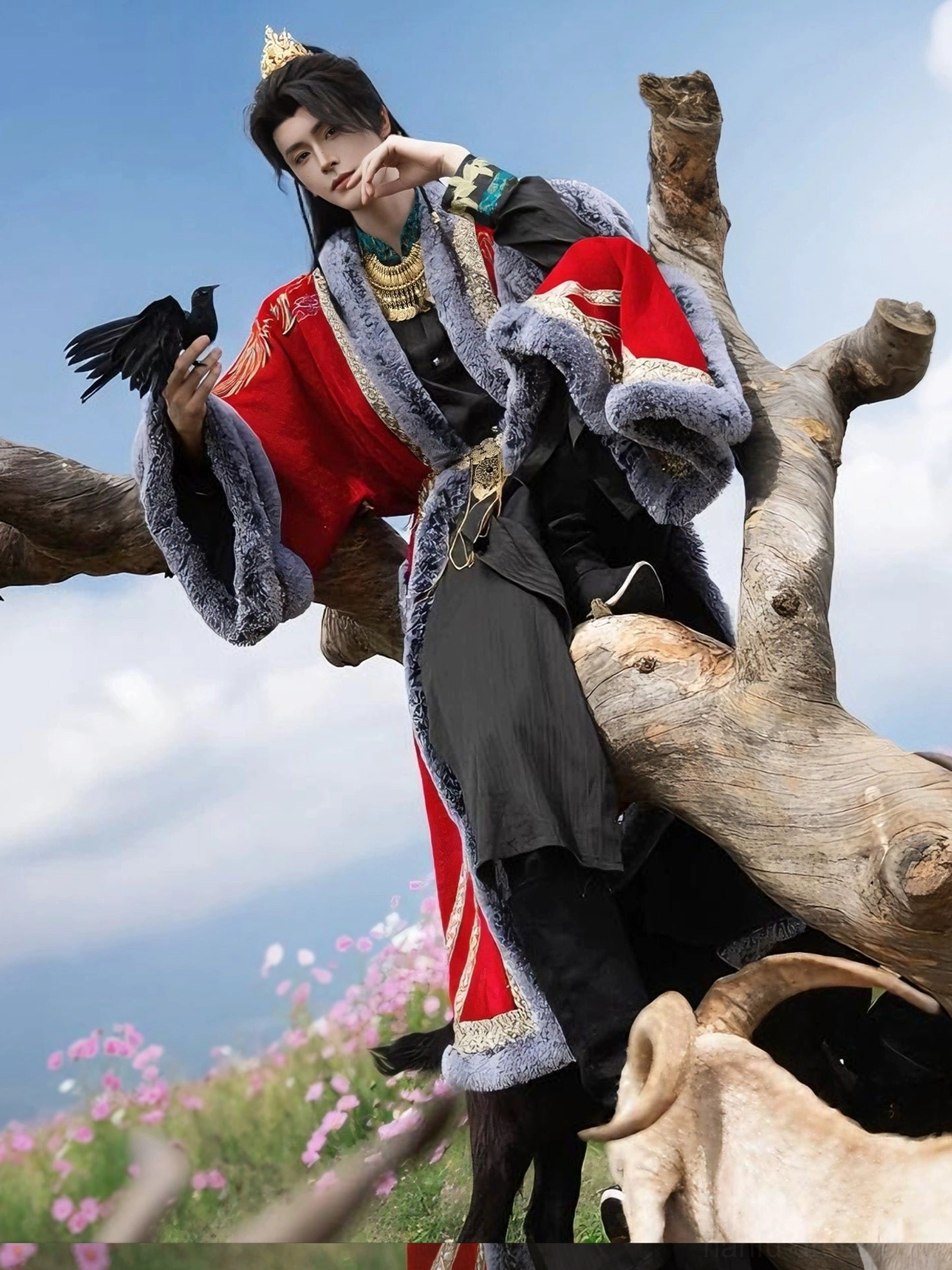 Dynamic three-quarter view of a male model in a red wool-look hanfu overcoat with grey faux fur trim and golden phoenix shoulder embroidery