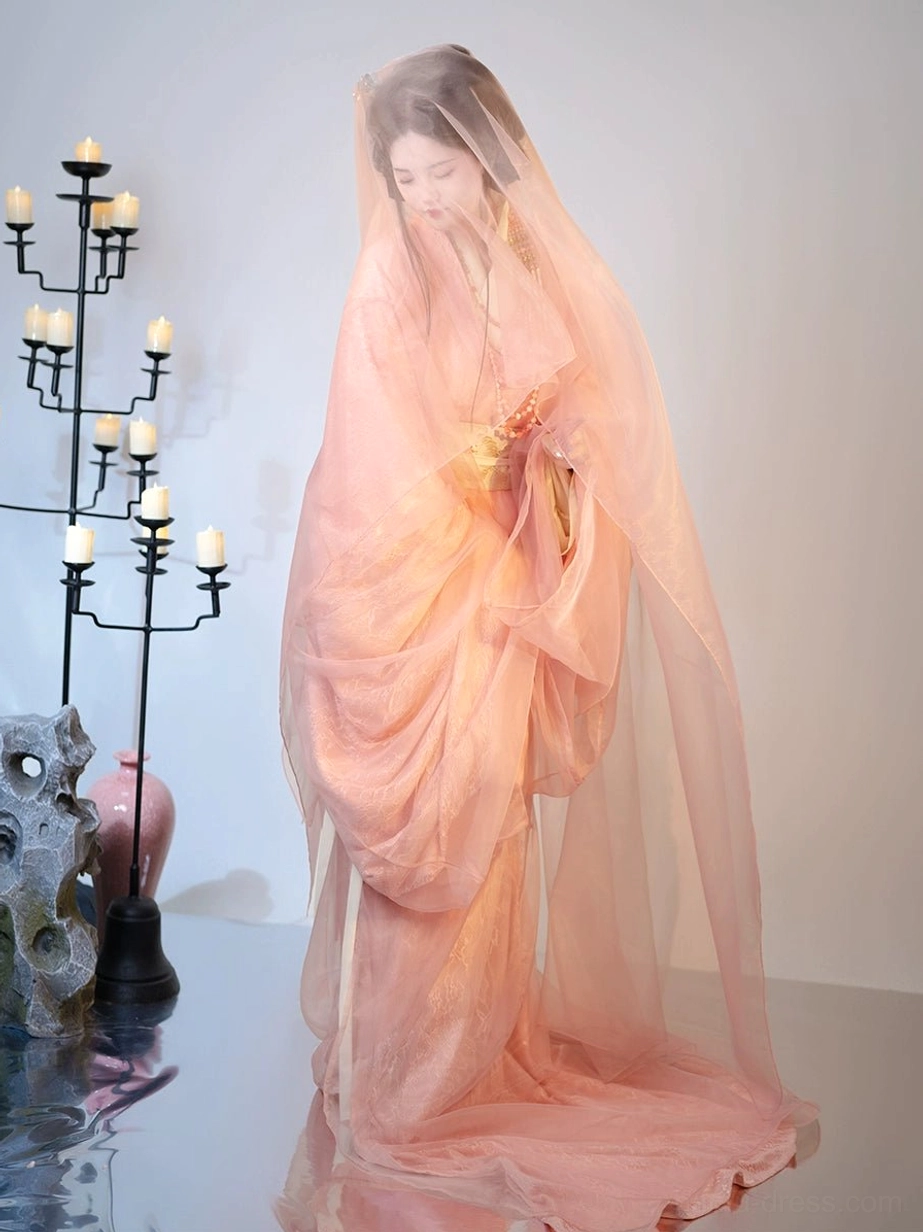 Back side view of dusty pink Han Dynasty Hanfu straight hem robe with long sheer veil and floor-length train