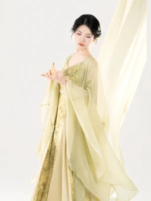 Side three-quarter view of a Chinese-inspired women’s Hanfu dress showing the translucent chiffon cape drape, wide sleeves, shoulder floral embroidery, and flowing pleated skirt