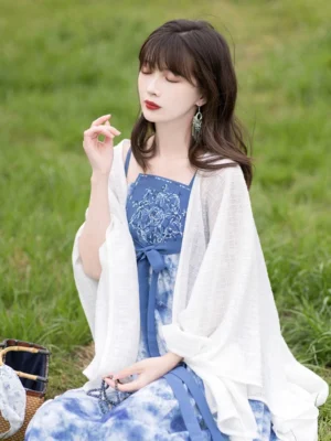 Modern Hanfu dress shown in a seated outdoor styling view with embroidered blue chest panel, waist bow, flowing midi skirt, and white sheer shawl