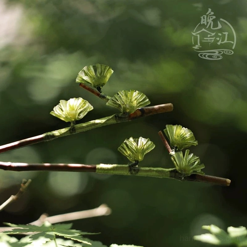 Side flat lay view of a dark brown wooden Chinese hair stick decorated with four translucent green pine needle ornaments for Hanfu styling
