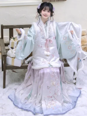Plum blossom winter Ming Dynasty Hanfu full set with bijia vest pipa sleeve top and mamian skirt in snowy courtyard