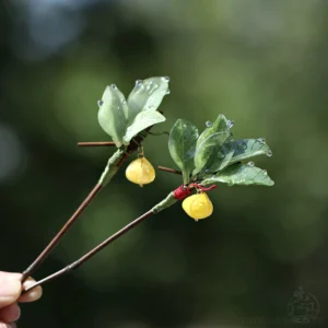 Double pomelo leaves Chinese hair stick with green botanical leaves, simulated water drops, red thread binding, yellow pomelo charms, and dark brown wooden-style stick photographed outdoors
