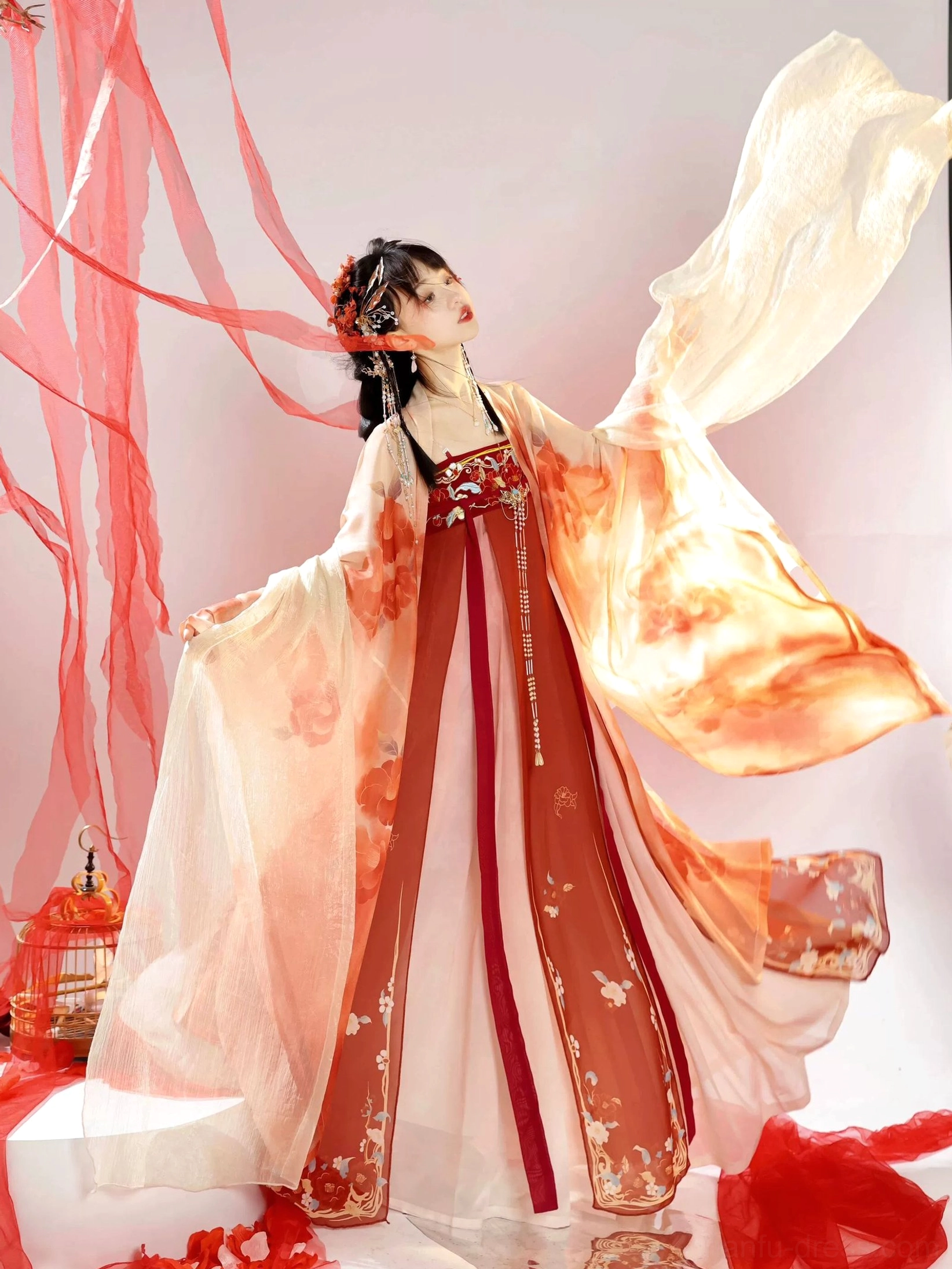 Side profile of a Tang Dynasty style Hanfu dress with ink-wash floral printed coat, red trim, embroidered skirt details, and long chest tassel accessory