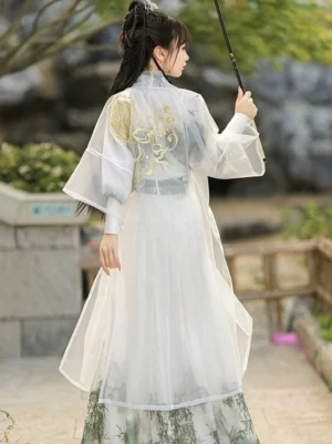 Wei Jin Dynasty swordsman Hanfu full back view showing sheer outer robe gold dragon embroidery and bamboo print skirt